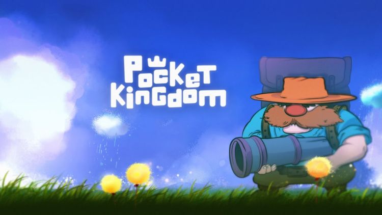Pocket Kingdom Steam CD Key