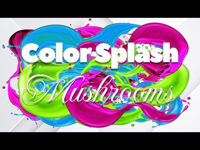 Color Splash: Mushrooms PC Steam CD Key