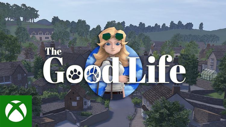The Good Life (2021) PC Steam CD Key