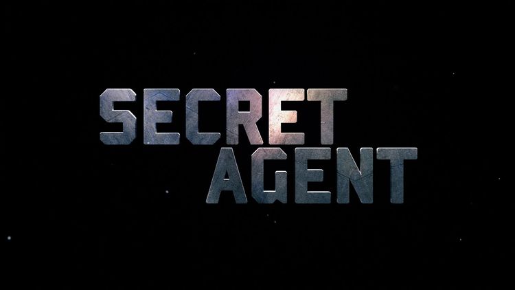 Secret Agent HD Steam CD Key