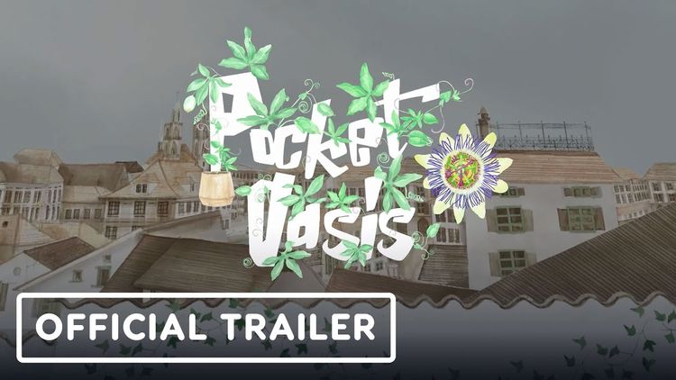Pocket Oasis PC Steam CD Key