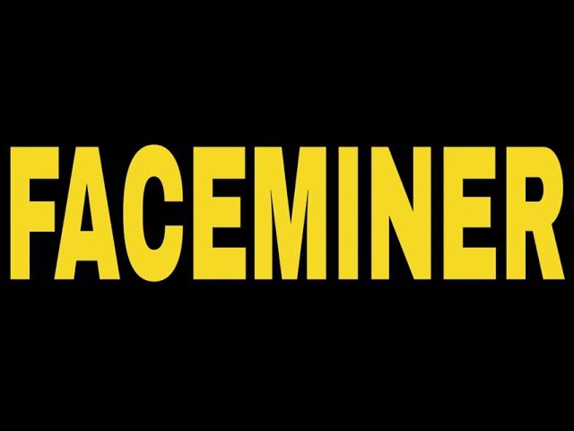 FACEMINER PC Steam CD Key