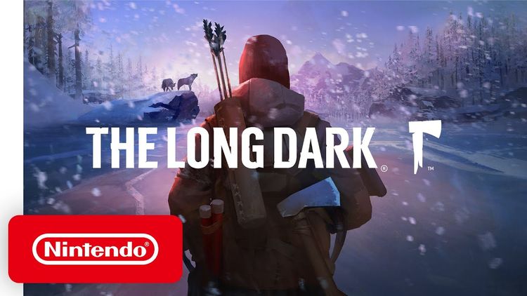 The Long Dark EU Nintendo Switch CD Key
