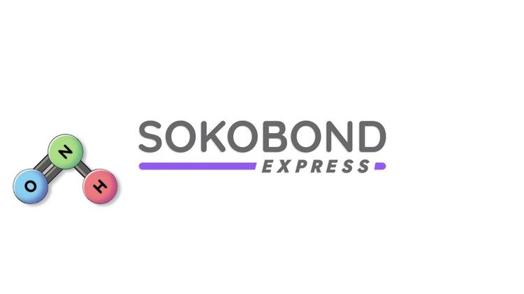 Sokobond Express PC Steam CD Key
