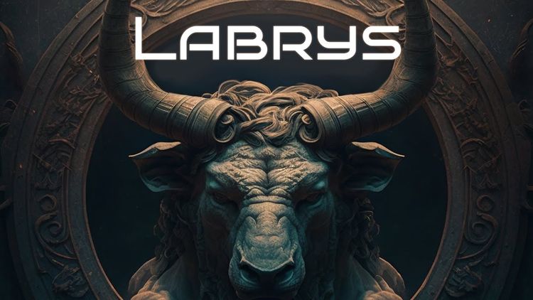 Labrys Steam CD Key
