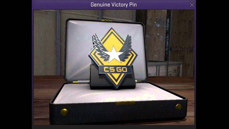 CS:GO - Series 1 - Victory Collectible Pin