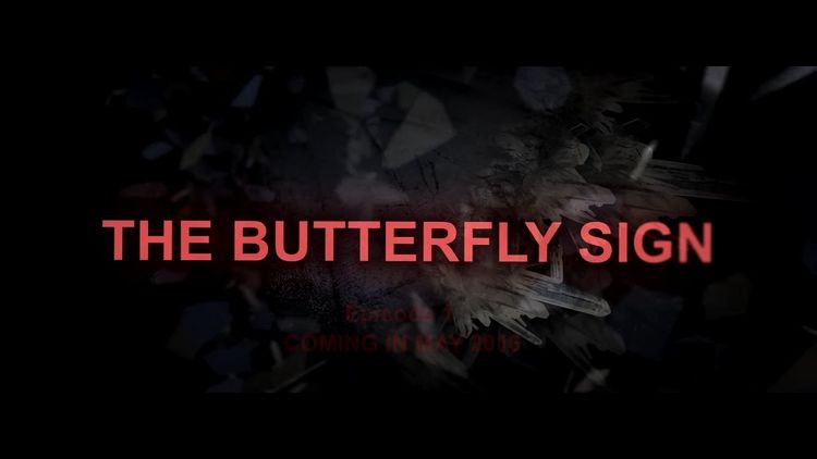 The Butterfly Sign: Human Error Steam CD Key