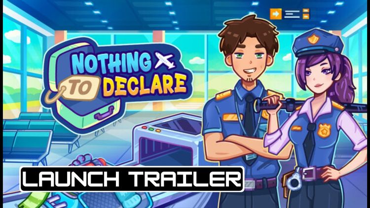 Nothing To Declare PC Steam CD Key