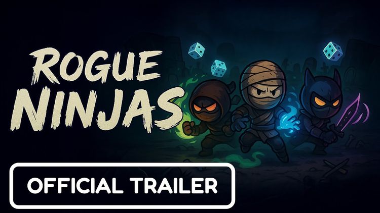 Rogue Ninjas PC Steam CD Key