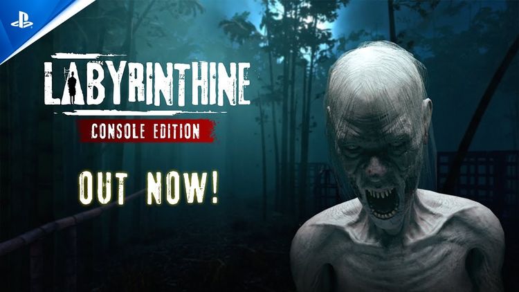 Labyrinthine Console Edition EU PS5 CD Key