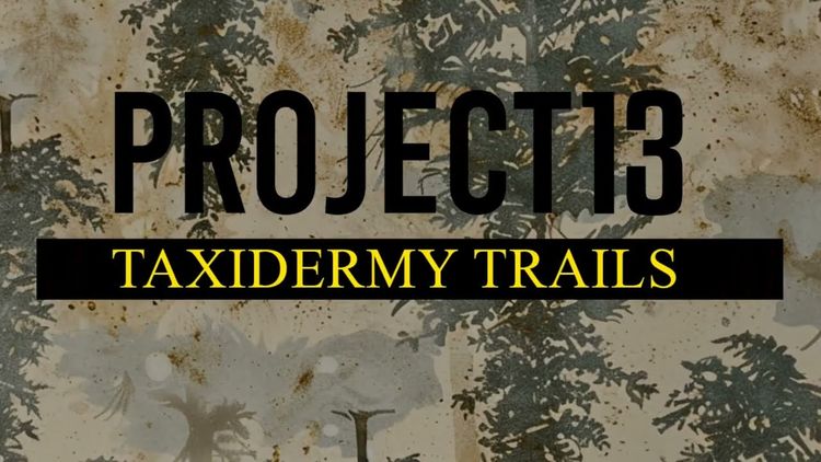 Project 13: Taxidermy Trails EU PS5 CD Key