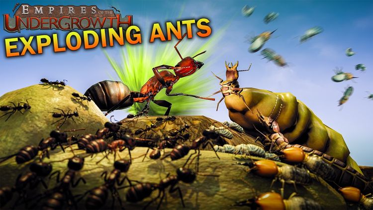 Empires of the Undergrowth - Exploding Ants DLC PC Steam CD Key