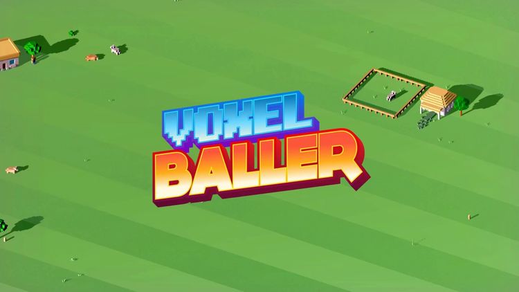 Voxel Baller Steam CD Key