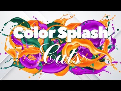 Color Splash: Cats Steam CD Key