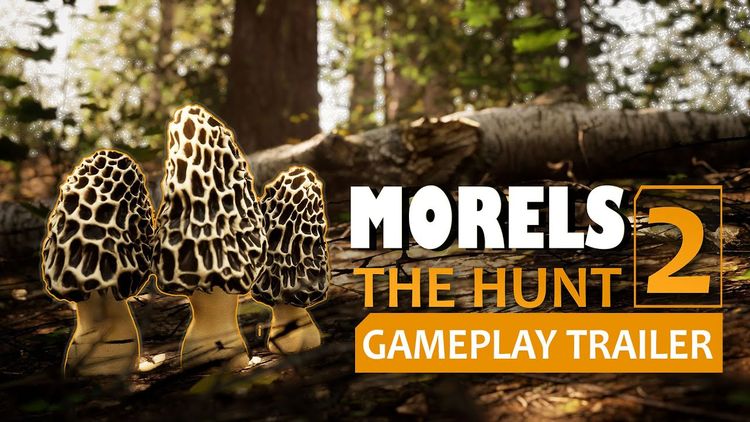 Morels: The Hunt 2 Steam CD Key