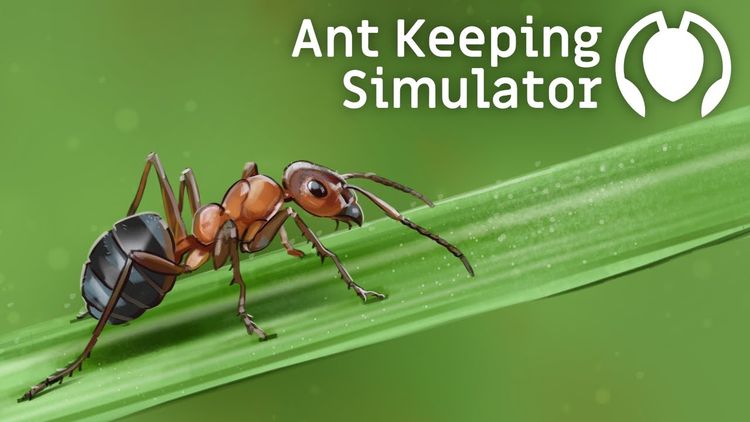 Ant Keeping Simulator PC Steam CD Key