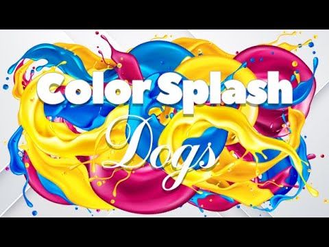 Color Splash: Dogs Steam CD Key