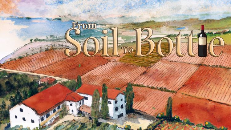 From Soil to Bottle PC Steam CD Key