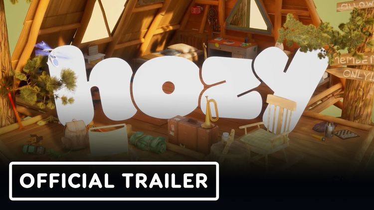 Hozy PC Steam Altergift