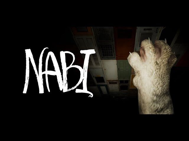 NABI PC Steam CD Key