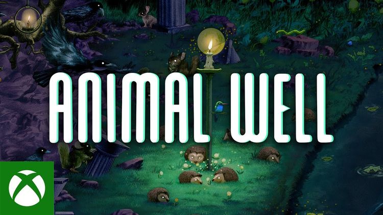 ANIMAL WELL Xbox Series X|S Account