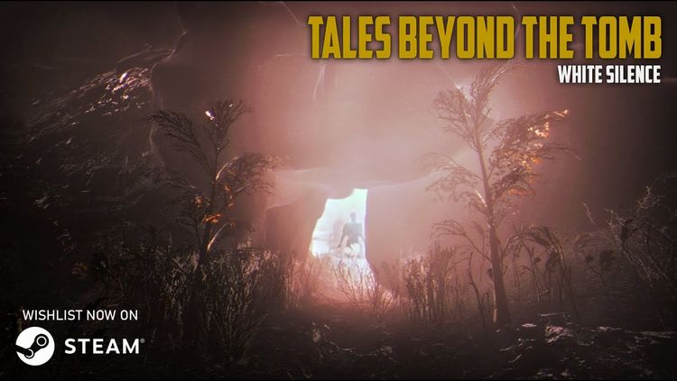 Tales Beyond The Tomb - White Silence PC Steam CD Key