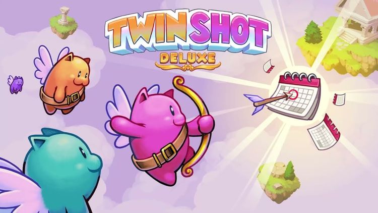 Twin Shot Deluxe PC Steam CD Key